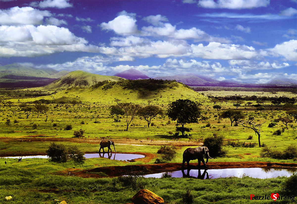 케냐 차보국립공원